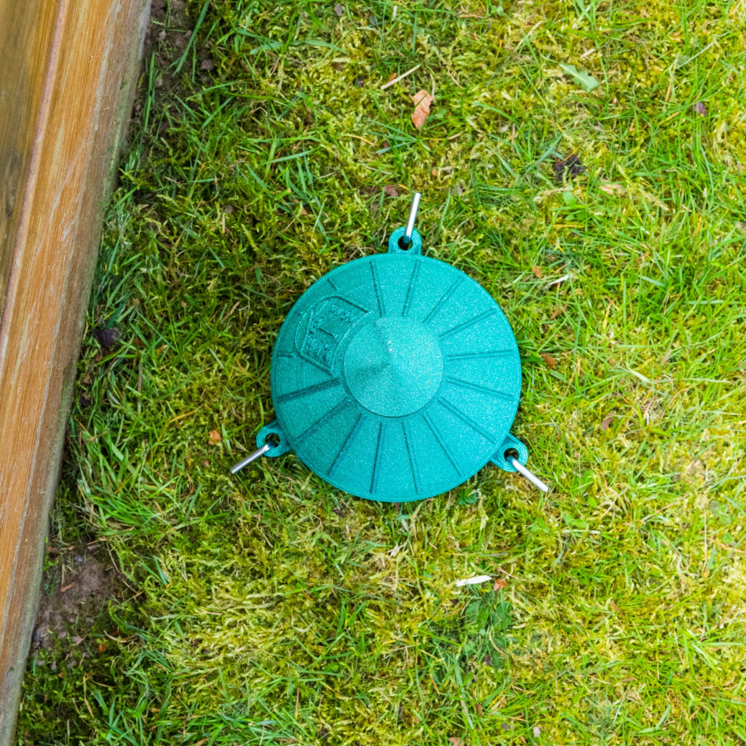 Sneglefælden i have